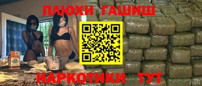 индика Лесосибирск