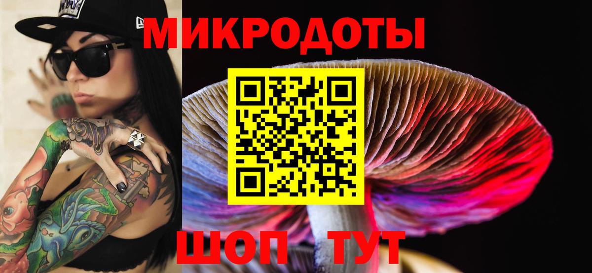 Псилоцибиновые грибы ЛСД Дедовск