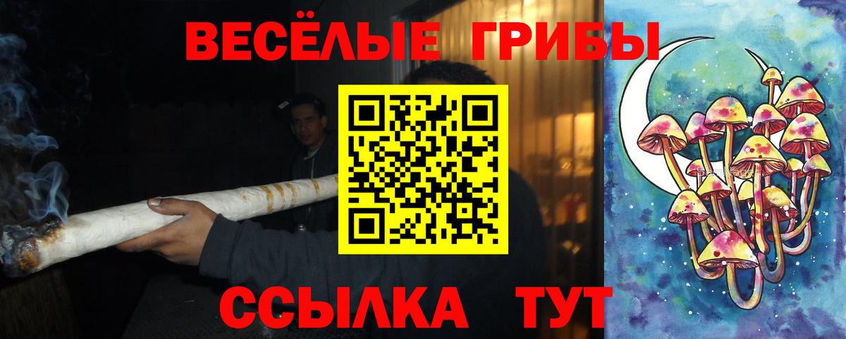 цены   Галлюциногенные грибы прущие грибы  Вход с VPN  Дедовск 